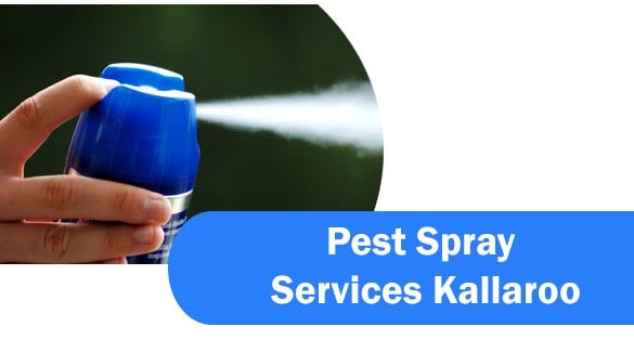 Pest Spray Services Kallaroo